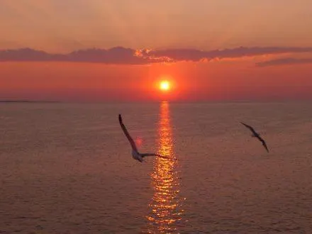 Katerina Apartment Limenaria (Thasos)